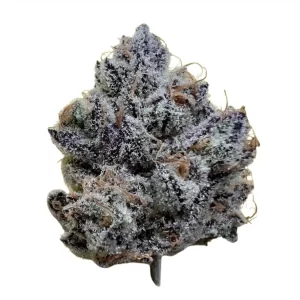 Crazy 88 Exotic THCA 