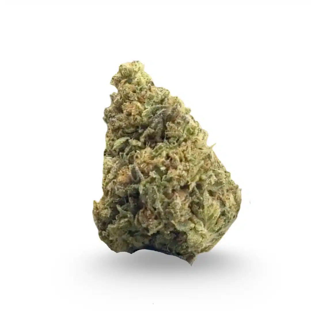 Gelato 41 THCA Flower