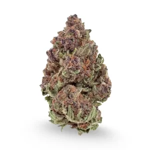 Purple Haze THCA Flower