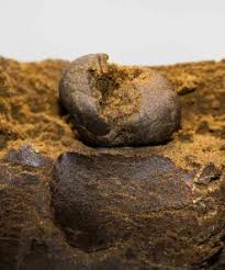 Aladdin’s Chocolate Hash